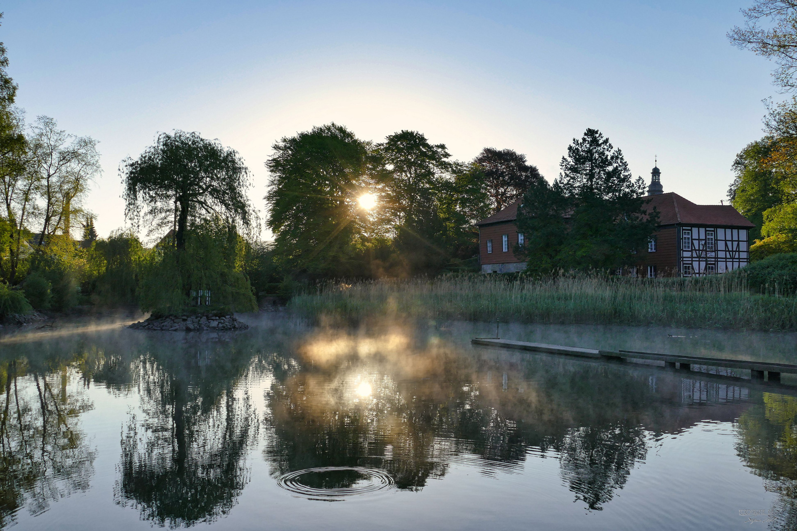 Gestern früh am Teich