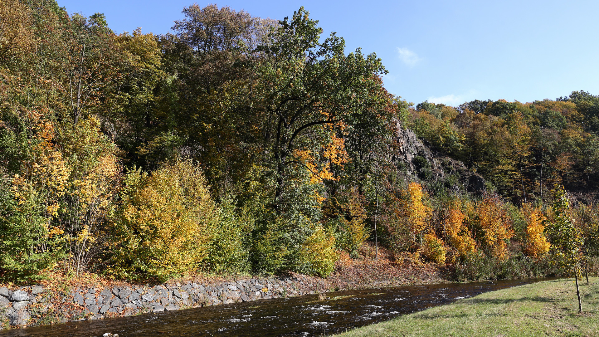 Gestern goldener Herbst im Müglitztal am Nachmittag...