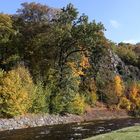 Gestern goldener Herbst im Müglitztal am Nachmittag...