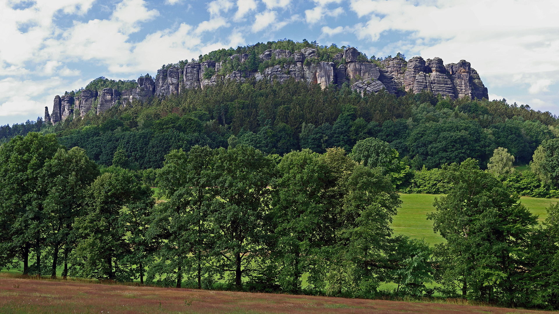 Gestern habe ich nach 6 Wochen Pause ein richtig schönes Sommerbild vom Pfaffenstein...