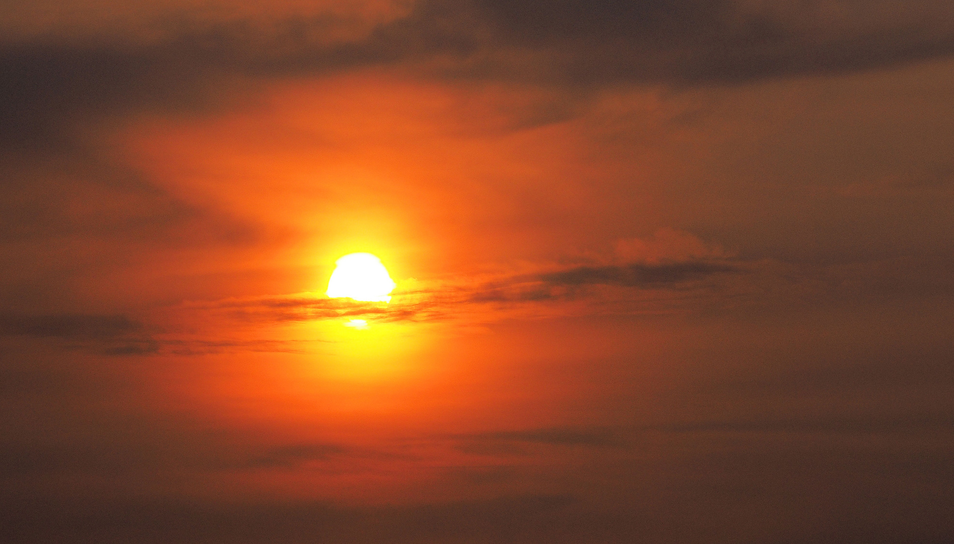 Gestern hat sich die Sonne etwas verschleiert ... 