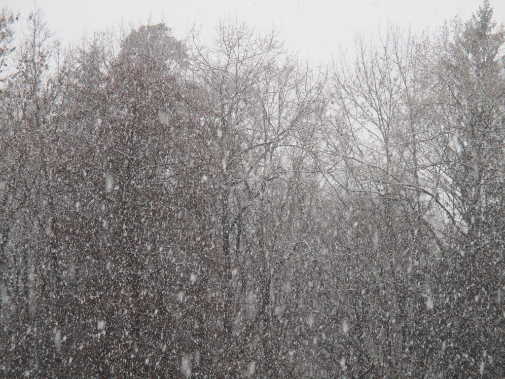 Gestern hatten wir Schmuddelwetter