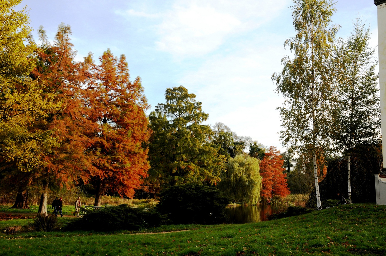 Gestern - herbstliche Impressionen aus dem Park ohne Sorgen (5)