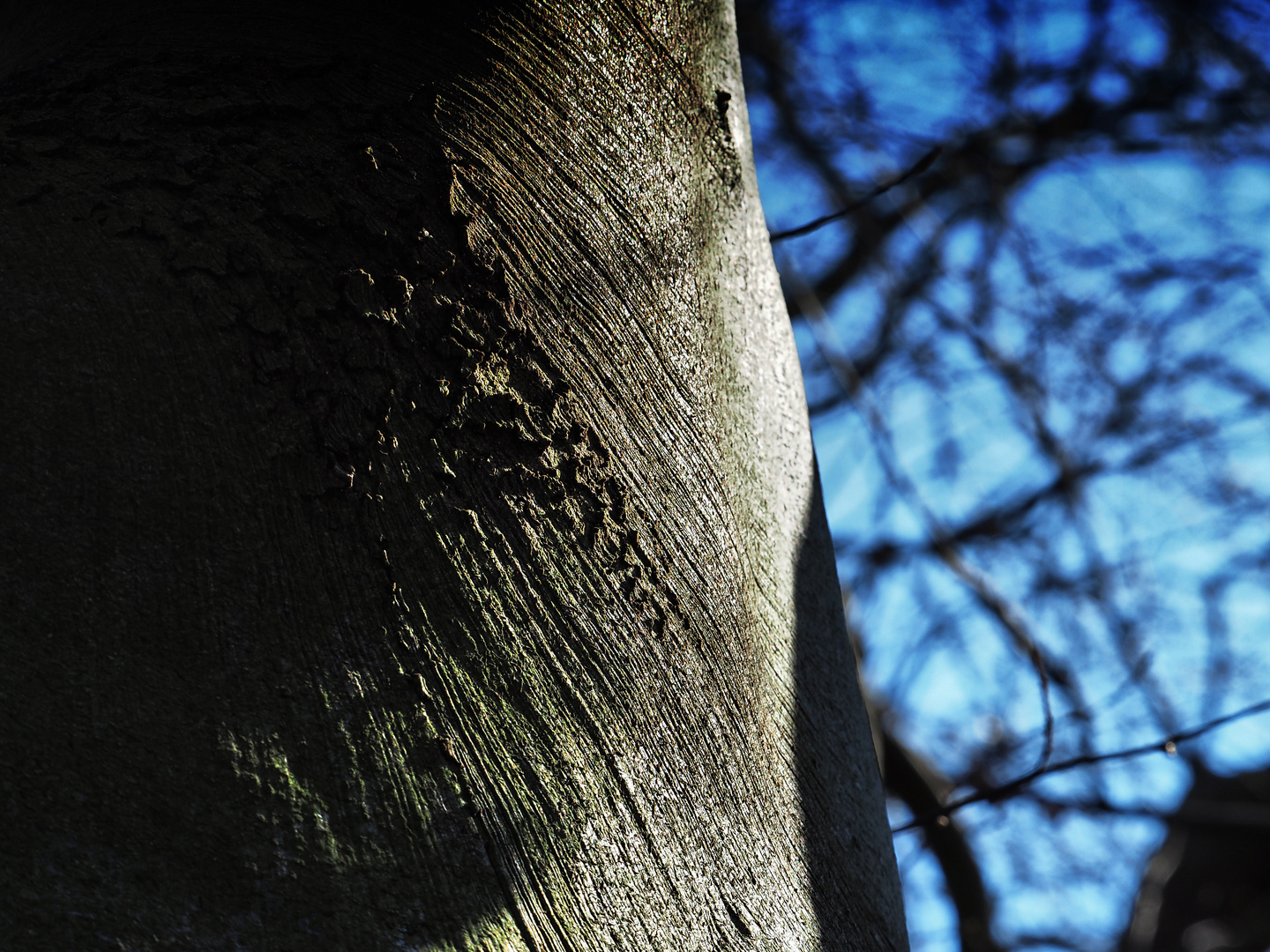 ... gestern im berggarten hannover