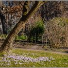 Gestern im Botanischen Garten