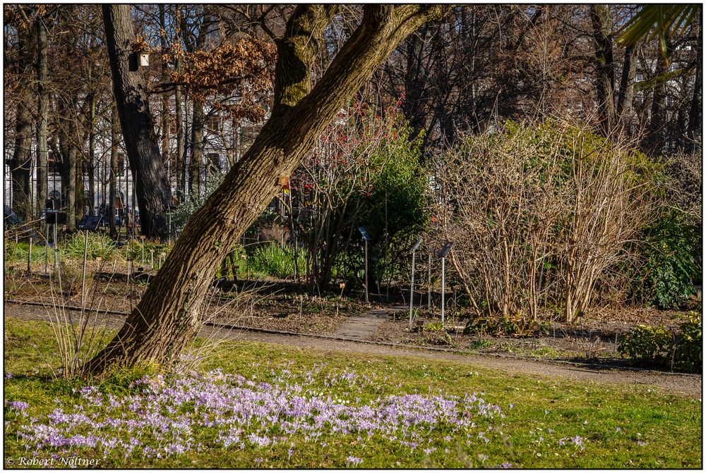 Gestern im Botanischen Garten