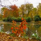 Gestern im Breidingsgarten unterwegs bei wechselhaftem Wetter. 