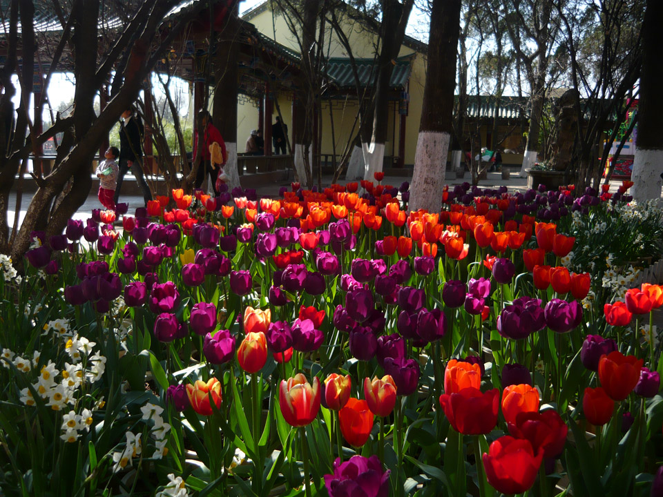 Gestern im Daguan-Park in Kunming