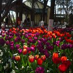 Gestern im Daguan-Park in Kunming