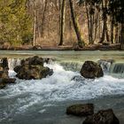 Gestern im Englischen Garten...