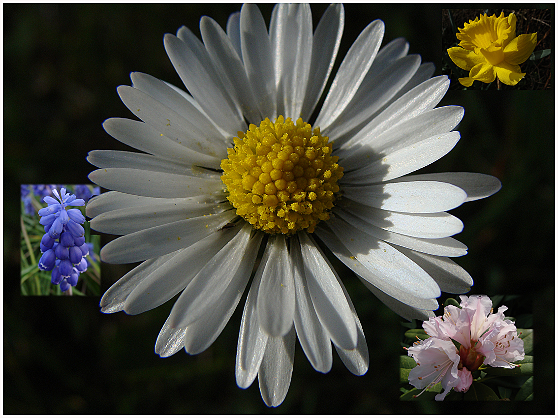 Gestern im Garten