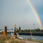 gestern im Hafen