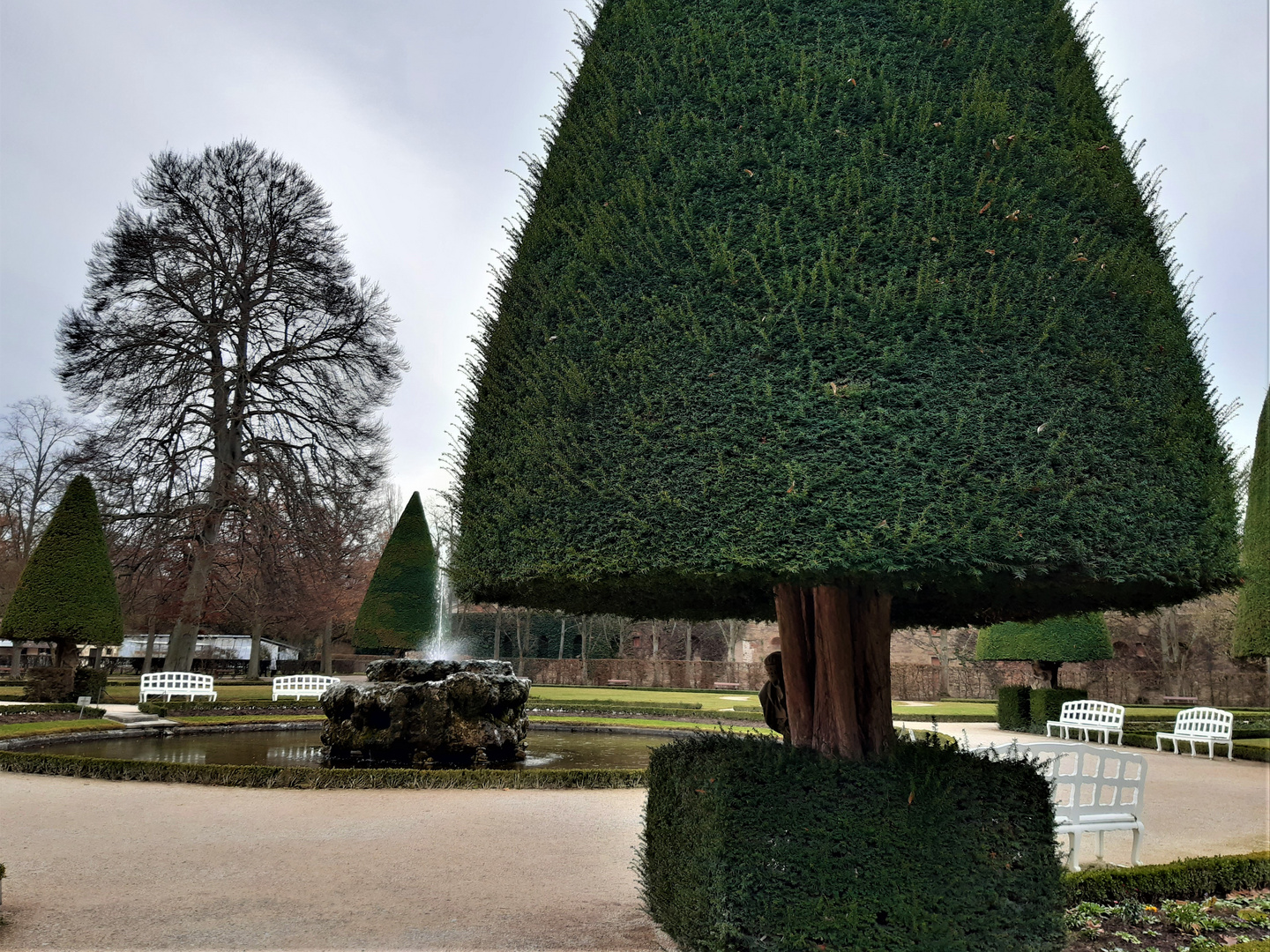 Gestern im Hofgarten