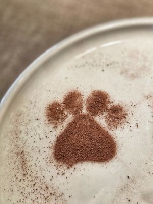 Gestern im Katzencafé...