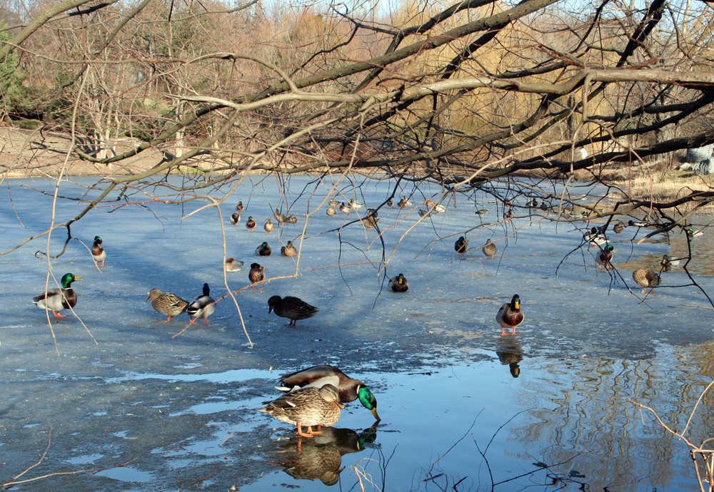 Gestern im Kurpark Oberlaa