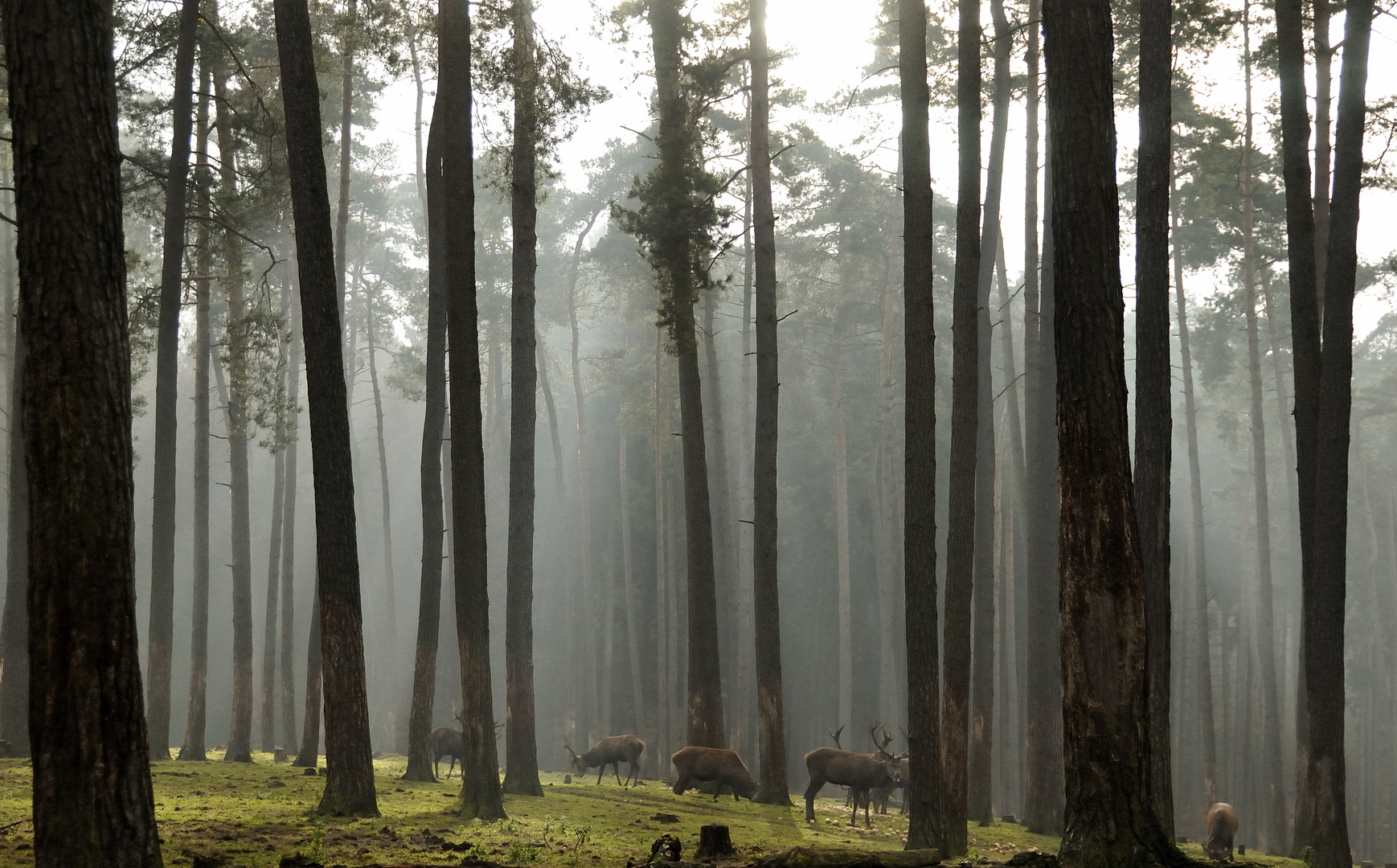 Gestern im Natur-Wildpark Granat