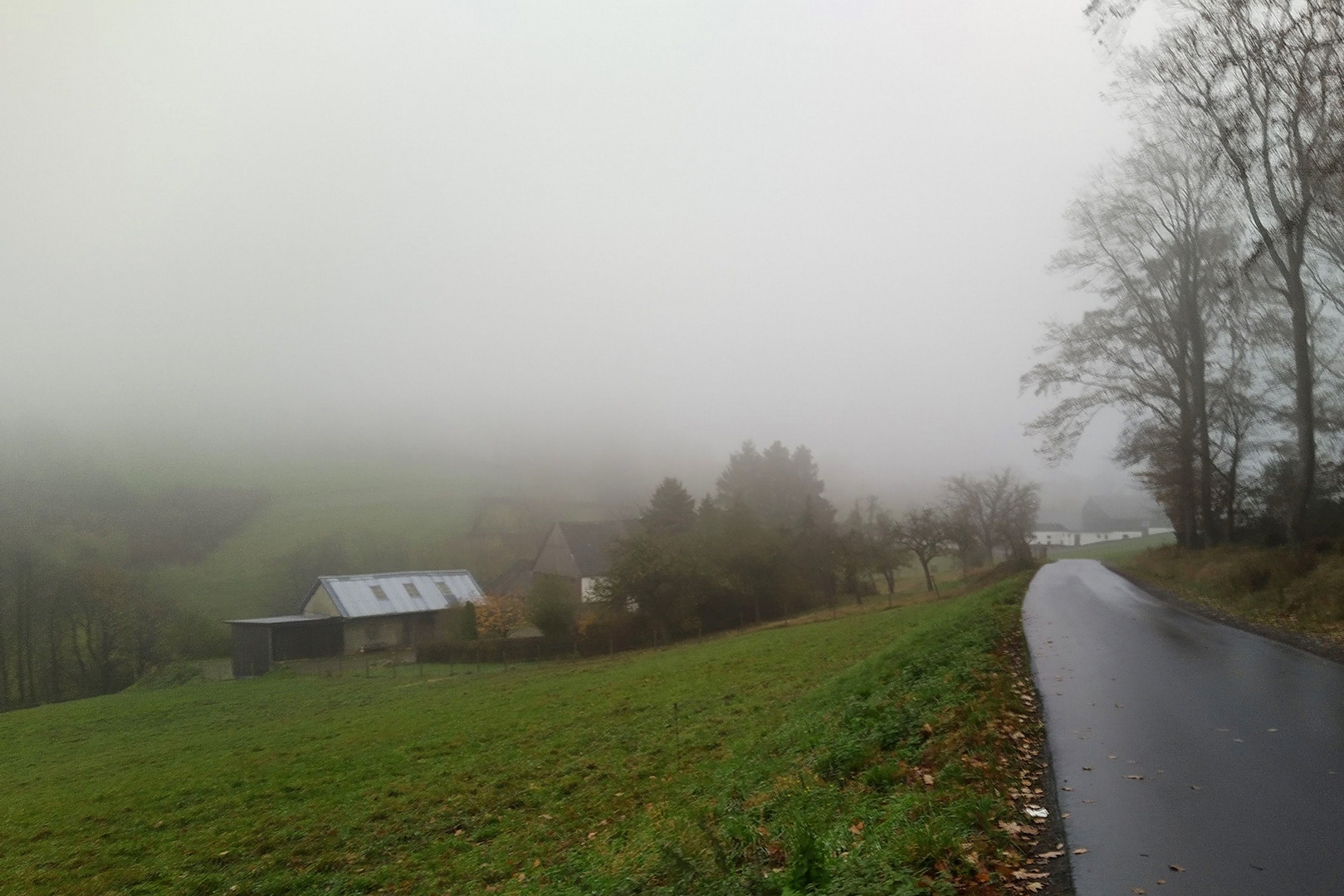 Gestern im Nebel