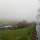 Gestern im Nebel