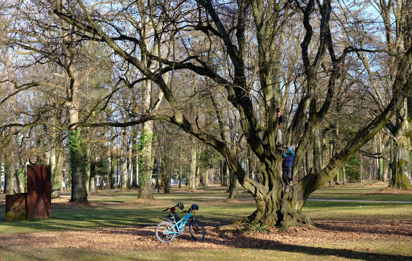 Gestern im Park