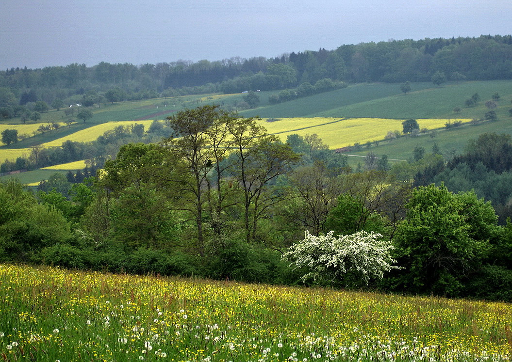 gestern im Reichenbachtal