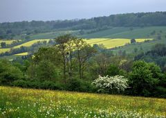 gestern im Reichenbachtal