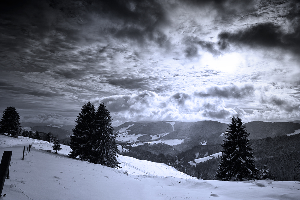 gestern im Schwarzwald