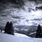 gestern im Schwarzwald