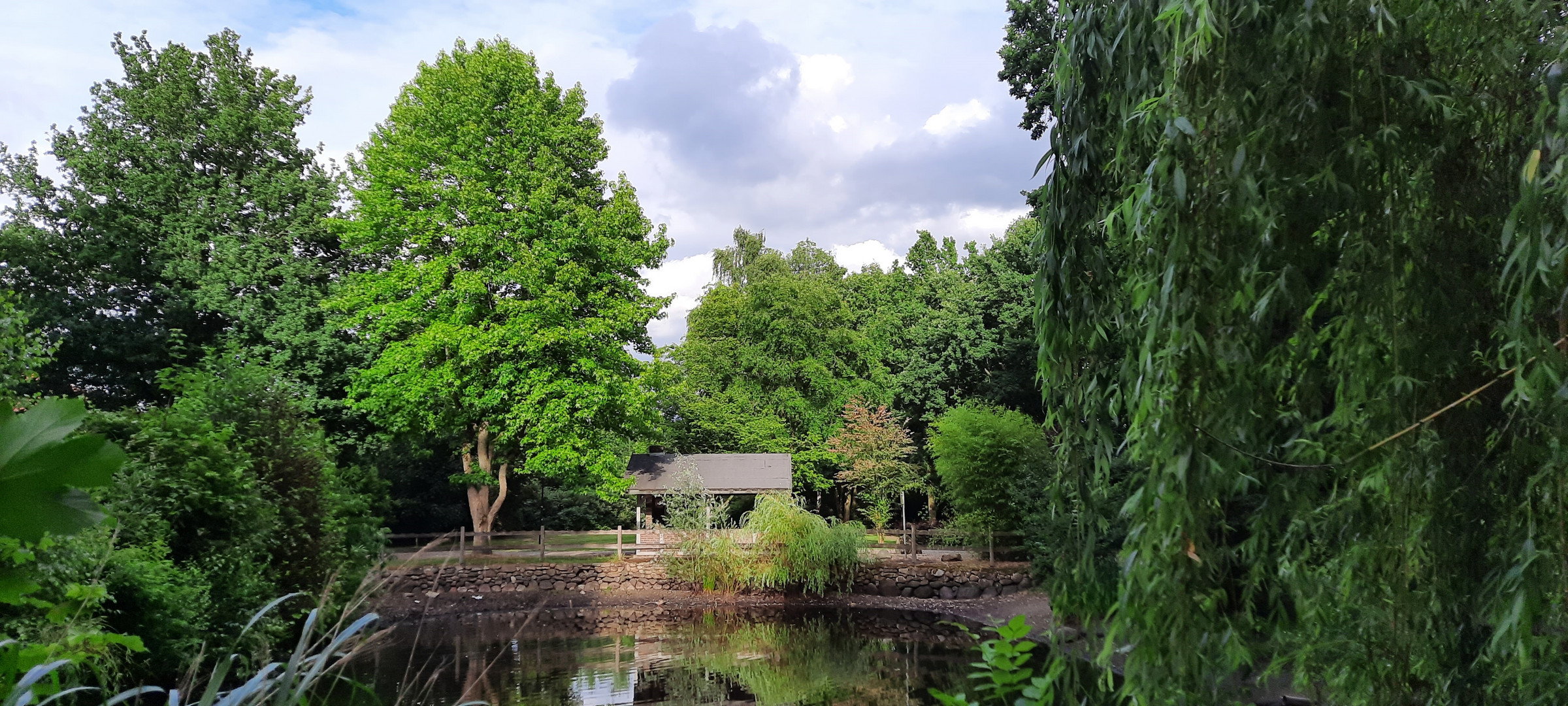 Gestern im Stadtpark 