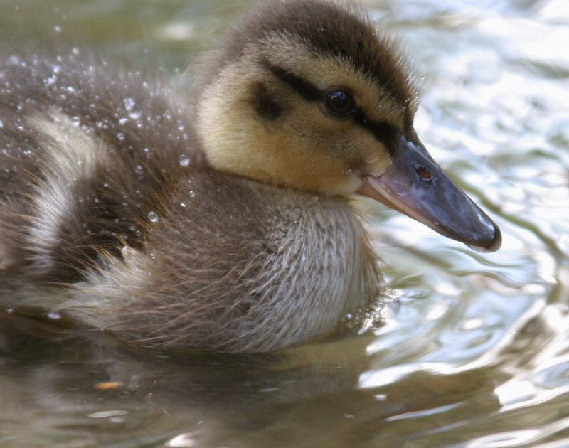 Gestern im Stadtpark