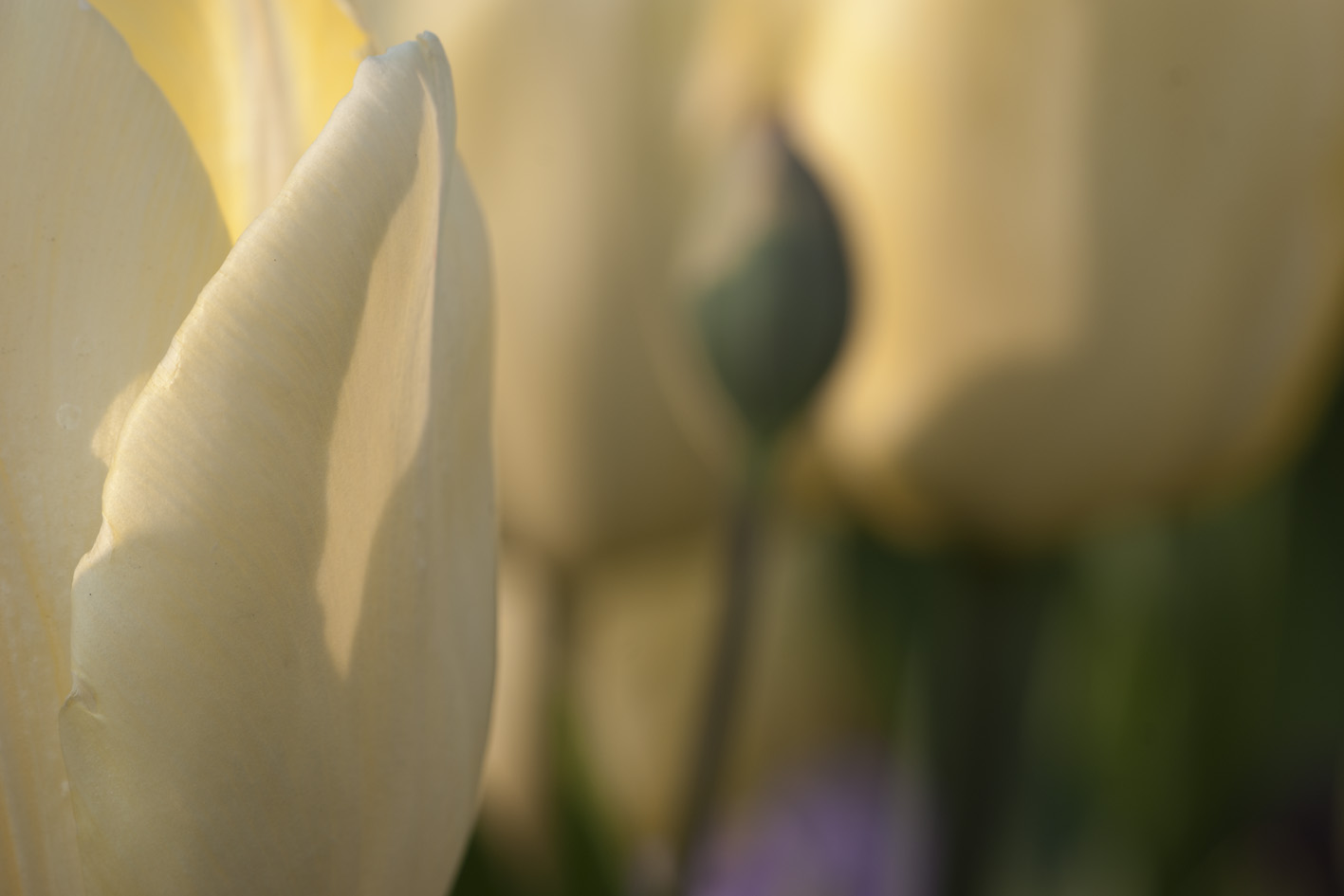 gestern im Stadtpark