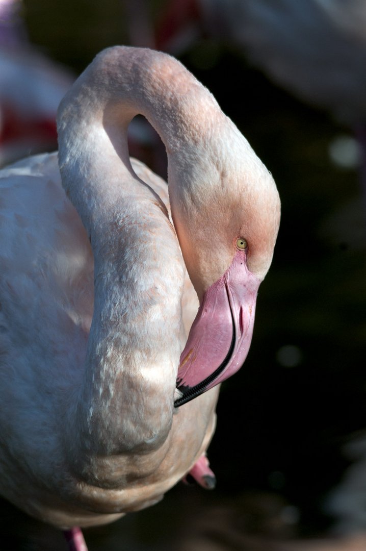 Gestern im Tierpark...