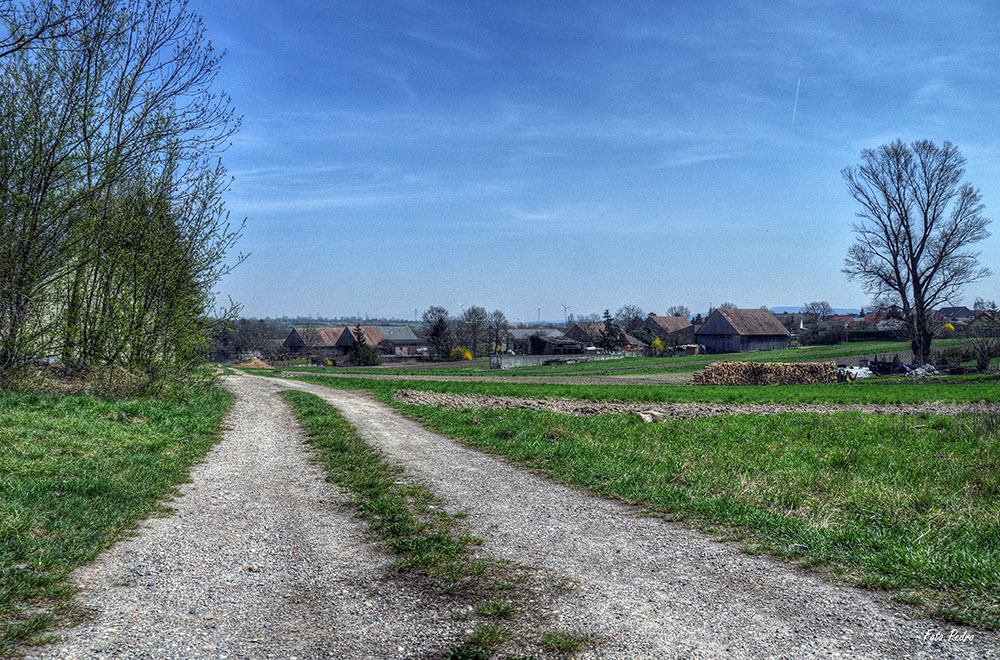 Gestern, im Weinviertel..