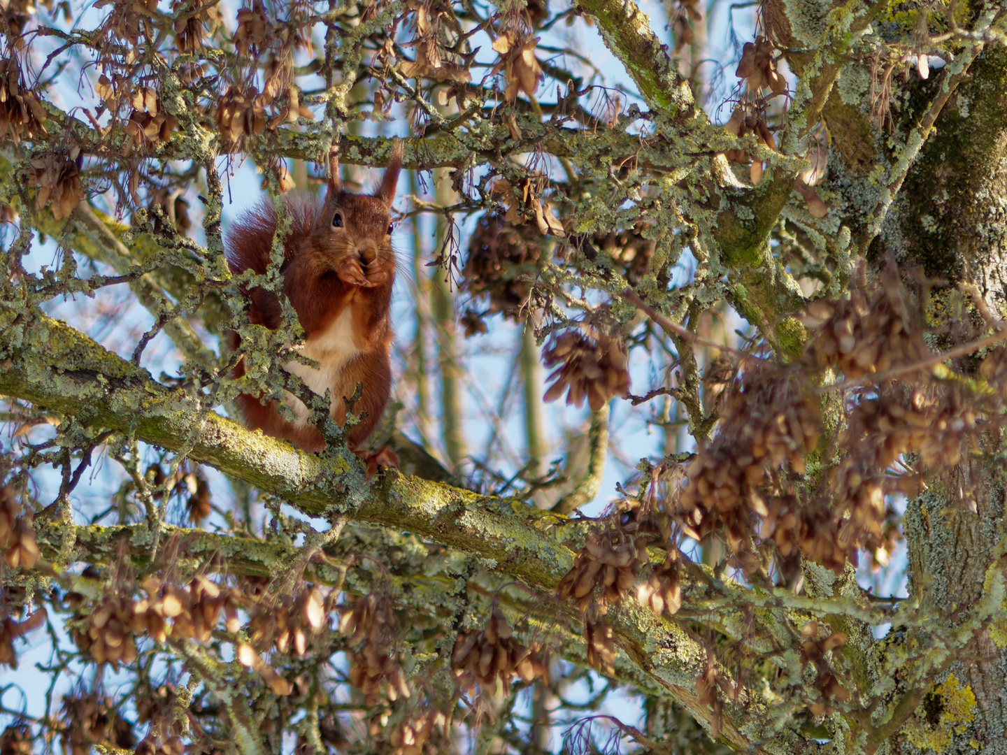 Gestern im Wertwiesenpark