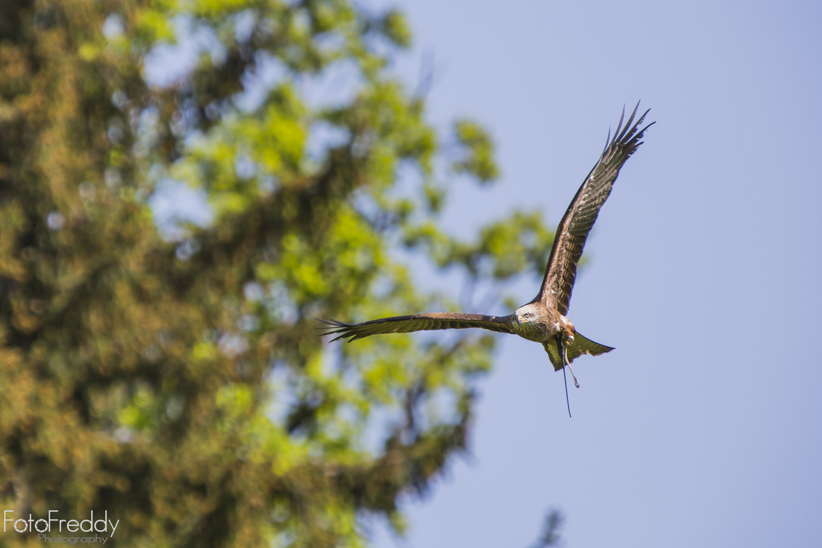 gestern im Wildpark Poing