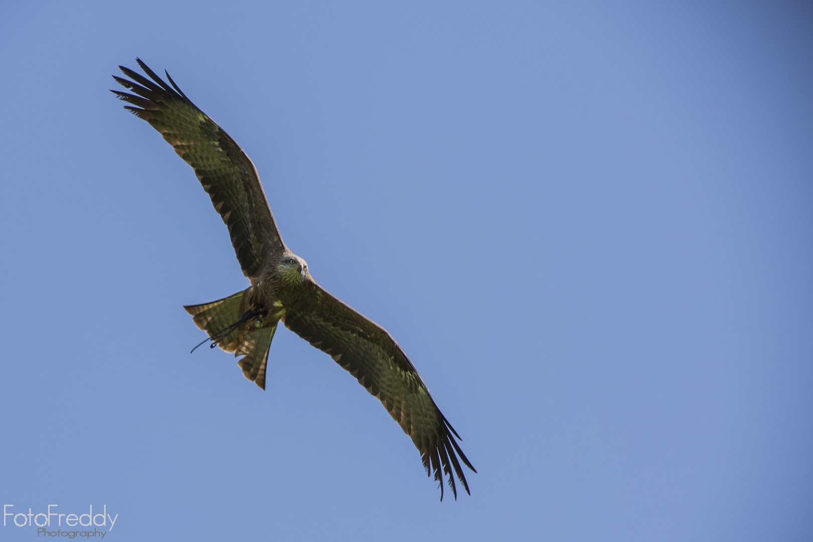 gestern im Wildpark Poing II