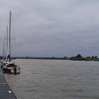 Gestern im Yachthafen Wischhafen 