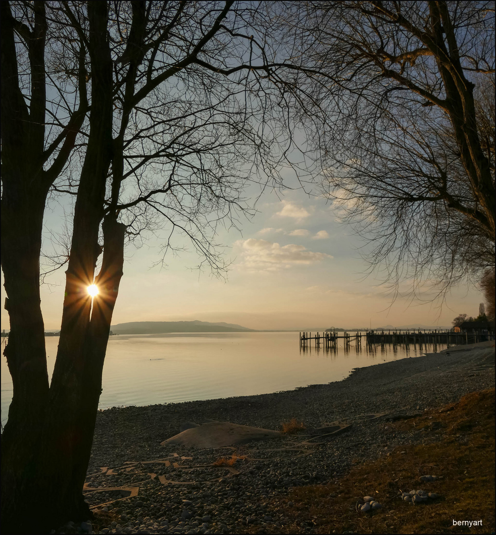 gestern in Allensbach am Bodensee