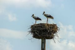 Gestern in Brandenburg