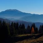 Gestern in den Gutensteiner Alpen