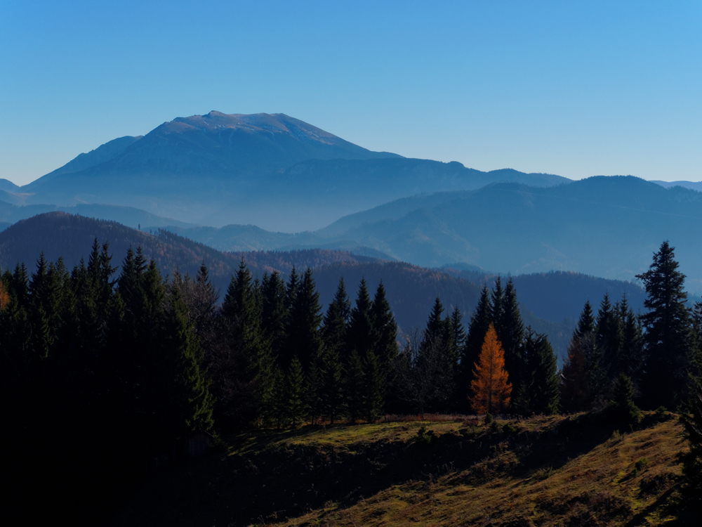 Gestern in den Gutensteiner Alpen