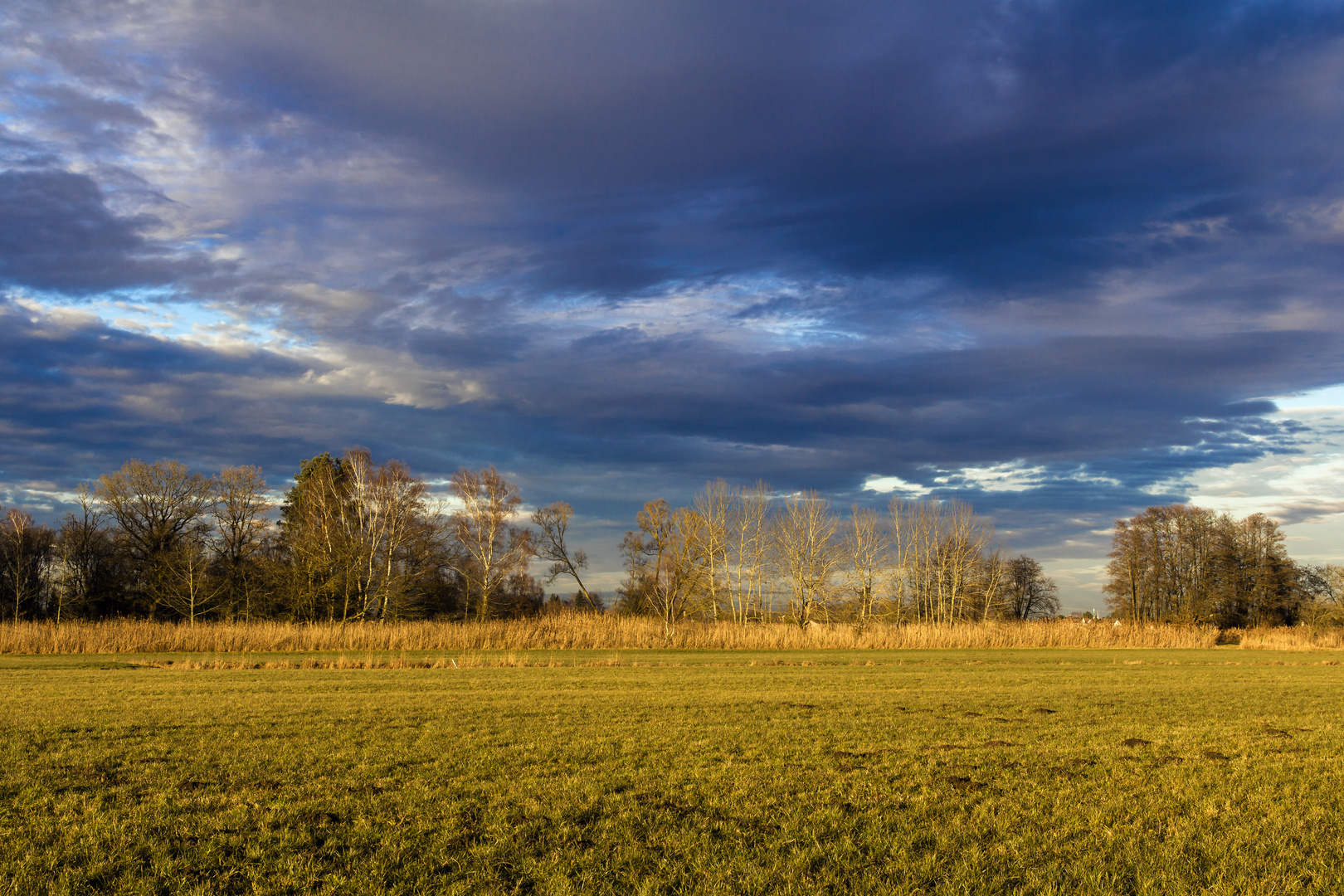 Gestern in den Paarauen bei Schrobenhausen