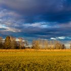 Gestern in den Paarauen bei Schrobenhausen