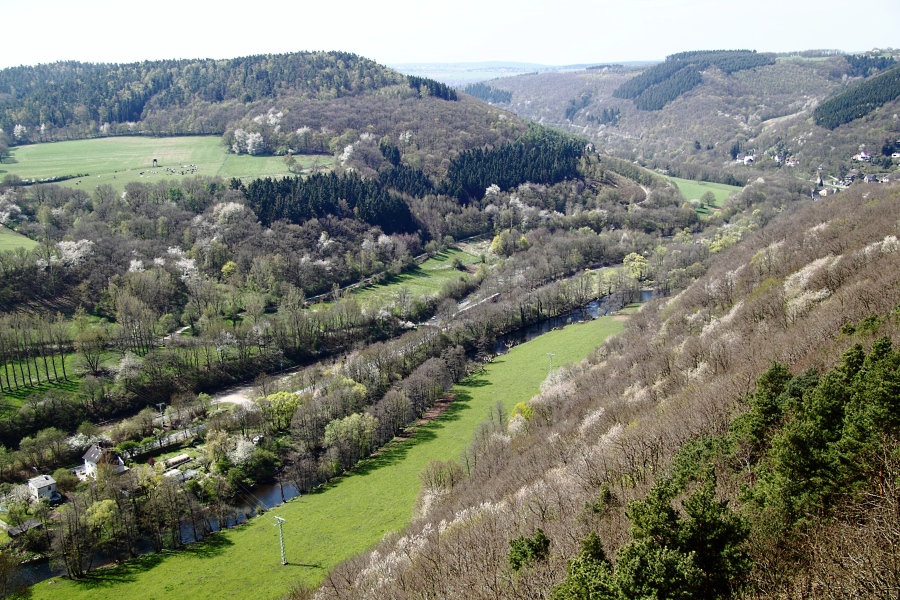 Gestern in der Eifel 2 .....