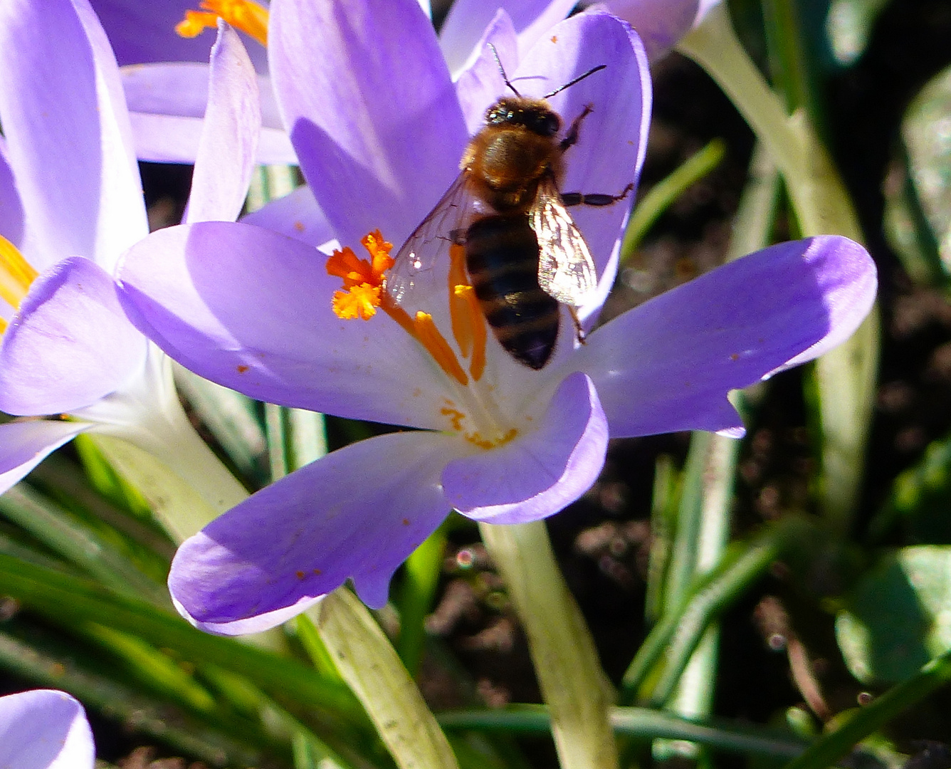 Gestern in der Mittagssonne