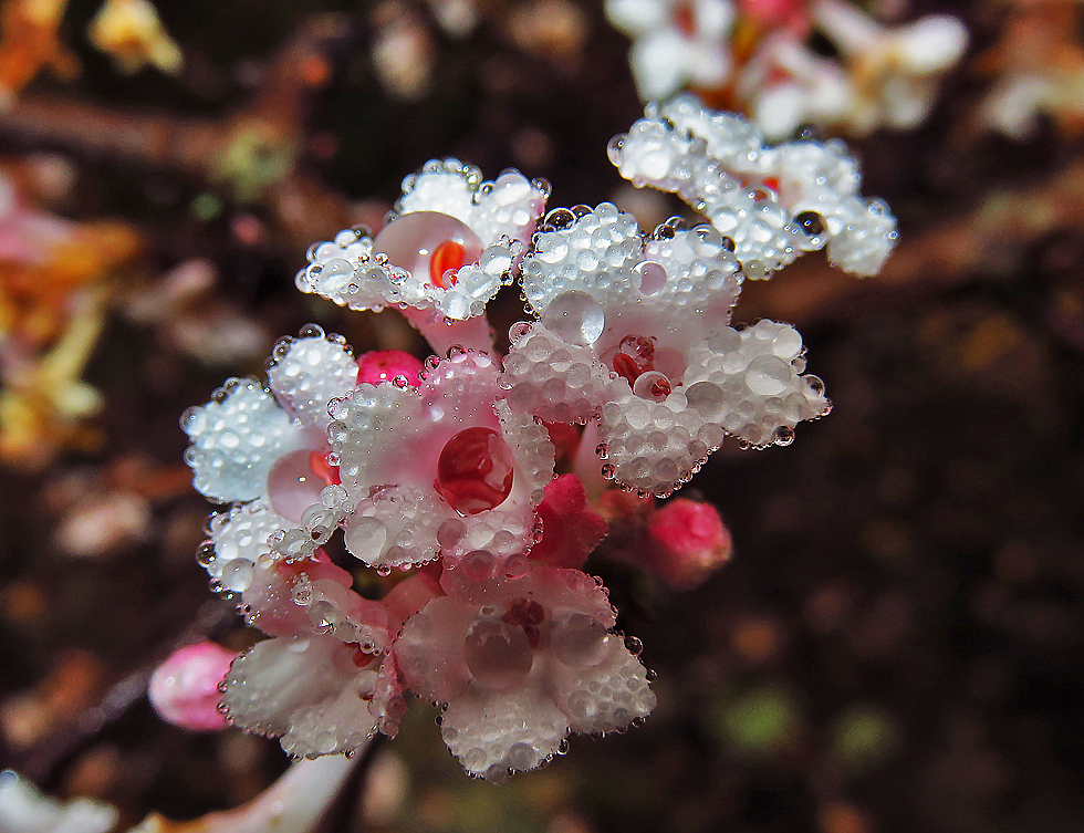 Gestern in der Regenpause...