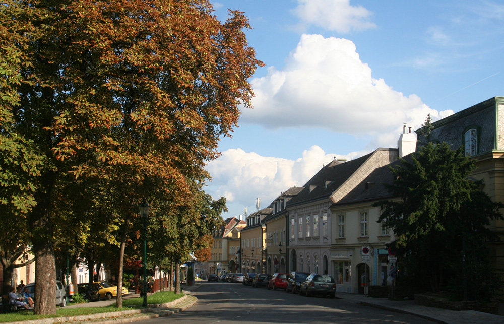 Gestern in Grinzing Foto & Bild europe, Österreich, wien Bilder auf