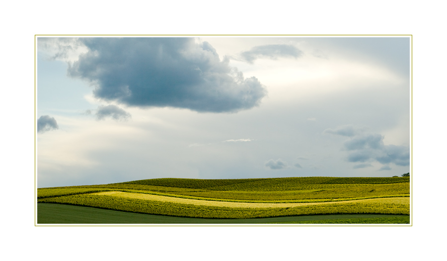 Gestern in Rheinhessen