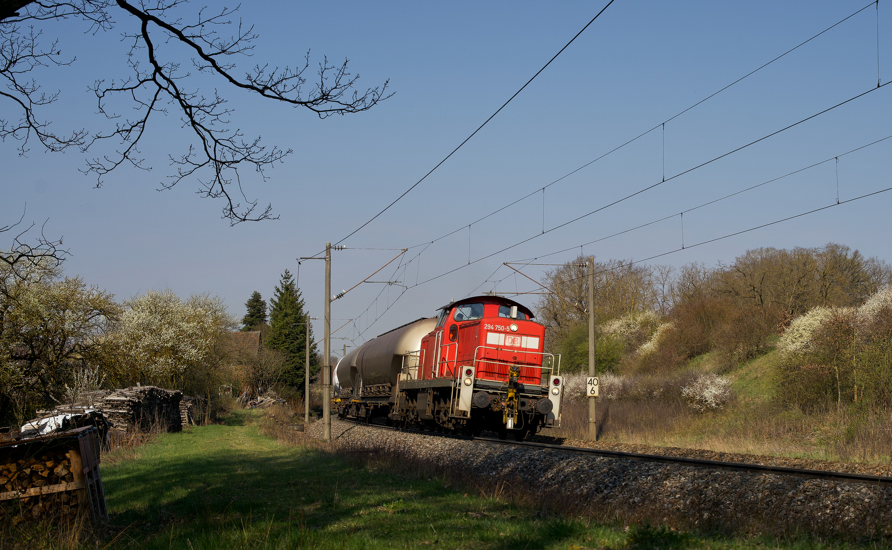 Gestern kam der Osterhase