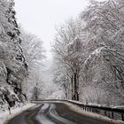 Gestern kleines Eifel Abenteuer …. 