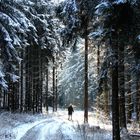 Gestern konnte man noch durch den niedrigen Schnee wandern